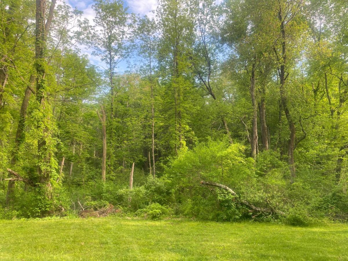 Ulster Park Newly Renovated 3Br Hudson Valley House מראה חיצוני תמונה