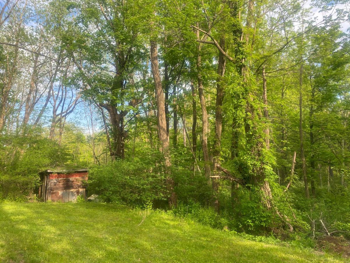 Ulster Park Newly Renovated 3Br Hudson Valley House מראה חיצוני תמונה